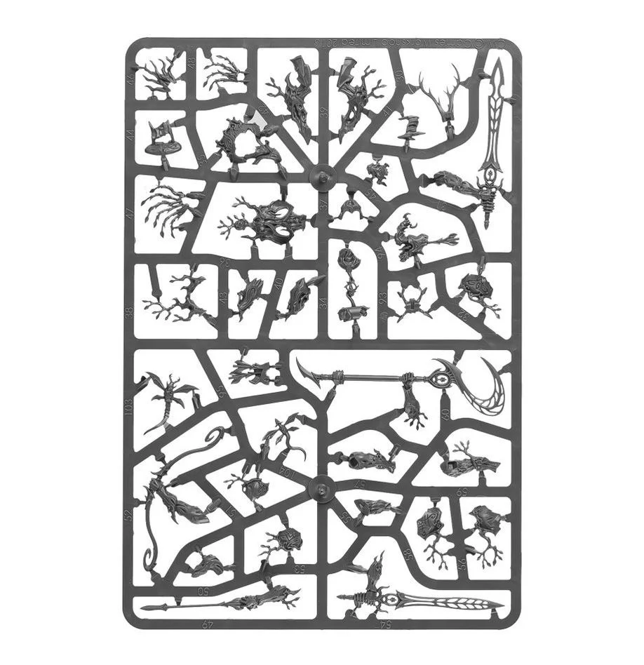 Warhammer Age of Sigmar Spearhead Sylvaneth - Image 14
